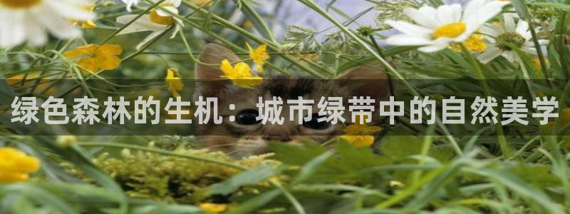 摩根娱乐宝。知道吗