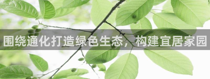 摩根国际娱乐宝官网
