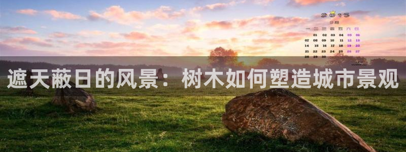 厦门摩根会娱乐