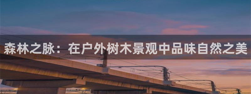 摩根娱乐代理