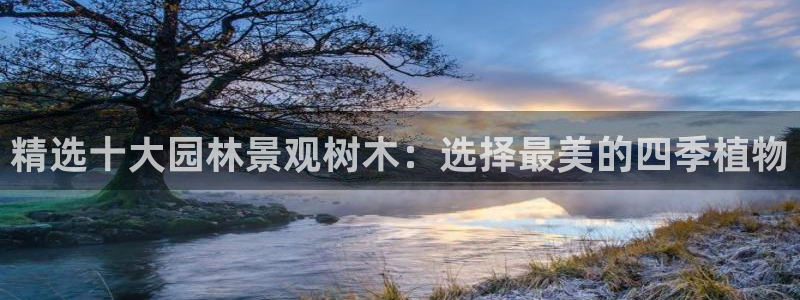 摩根娱乐宝总部