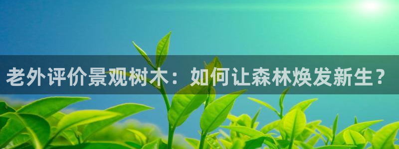 摩根娱乐宝真的假的