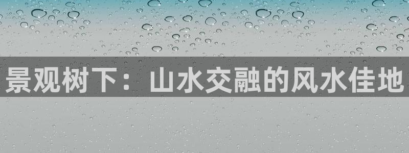 娱乐解说摩根
