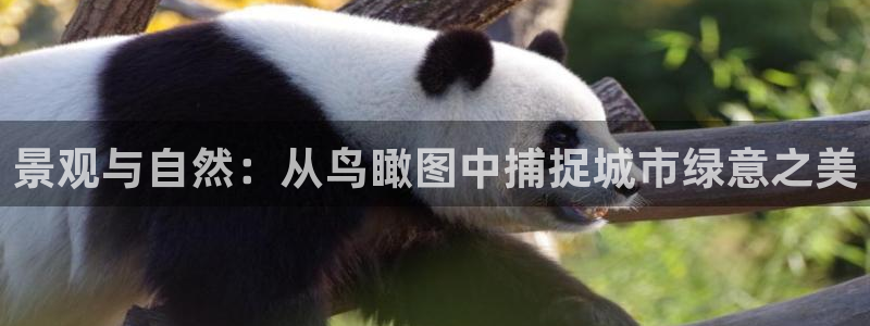 摩根娱乐50186联系