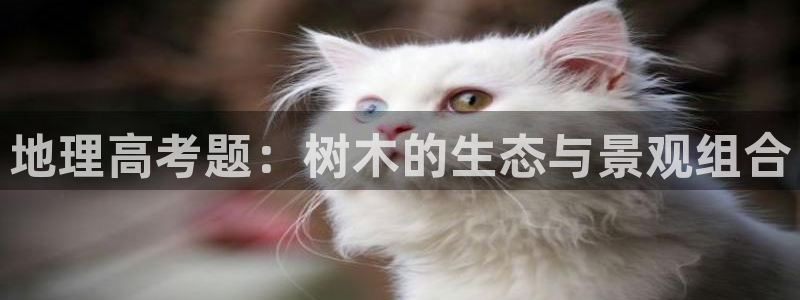 摩根娱乐挂机项目