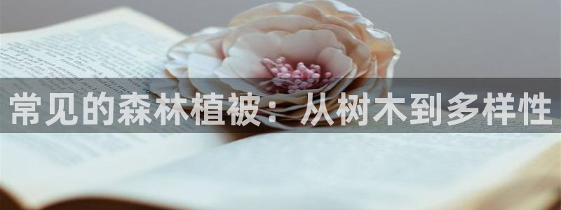 义乌摩根娱乐会所电话