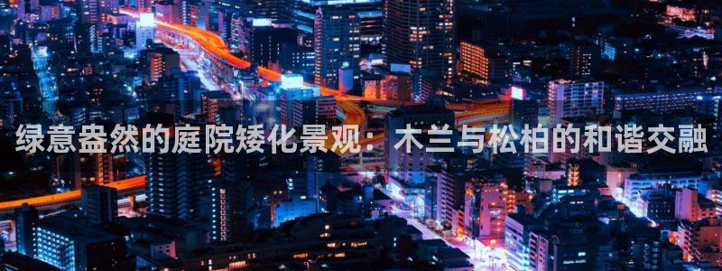 摩根娱乐信益怎么样