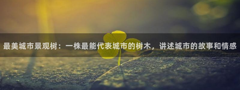 摩根娱乐彩票被骗了