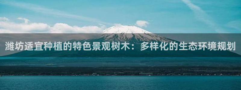 摩根娱乐开户总s管50015 18