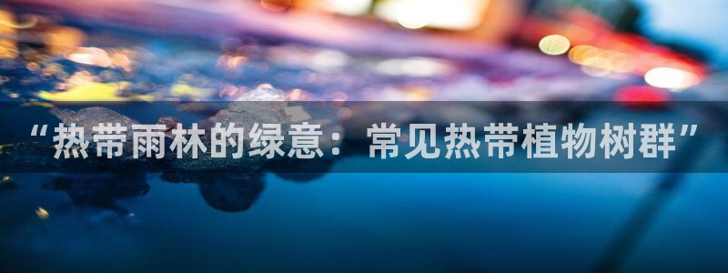 嘉兴摩根大饭店 娱乐