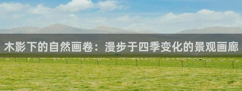 摩根时代资阳娱乐场所