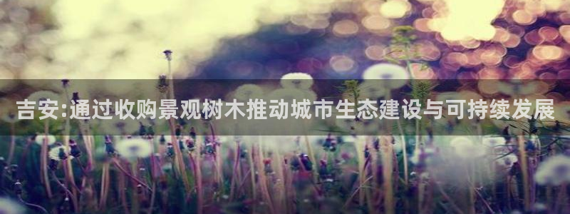 摩根娱乐↑总s管50015