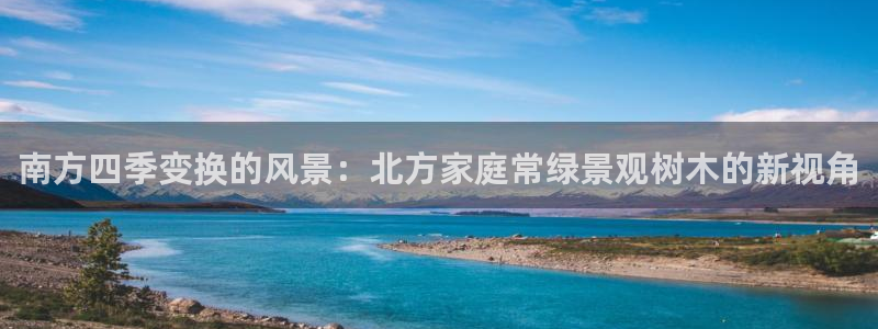 义乌摩根娱乐