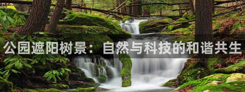 摩根娱乐 股s东50015