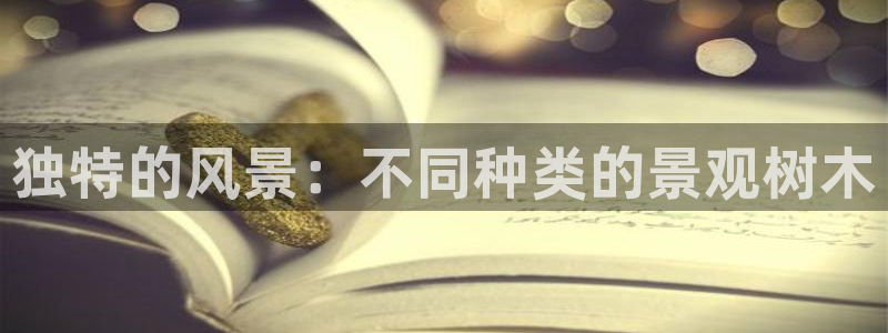 摩根娱乐dj