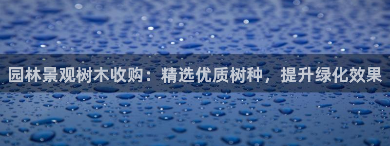 下载摩根国际娱乐宝