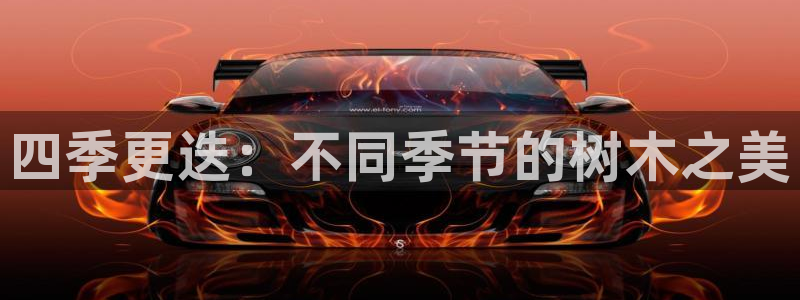 摩根国际娱乐宝书籍：四季更迭：不同季节的树木之美