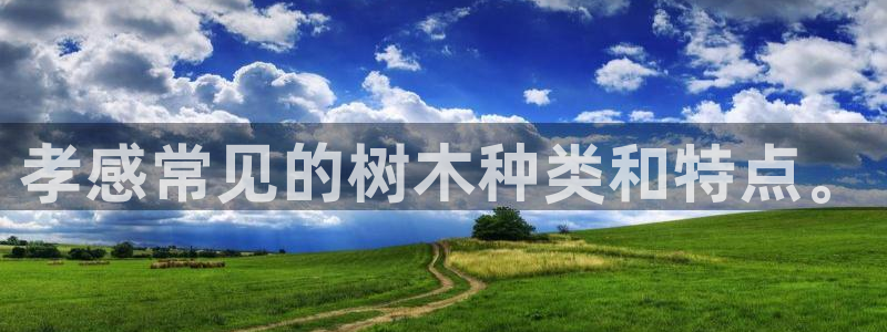 摩根娱乐宝骗了我：孝感常见的树木种类和特点。