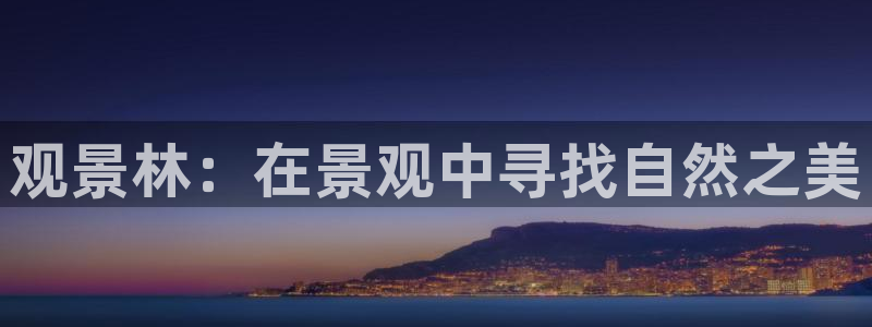 摩根娱乐包是什么