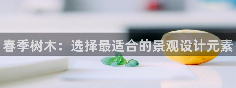 摩根国际娱乐宝官网下载