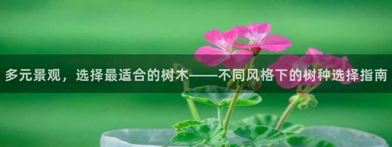 泉州摩根娱乐会所电话地址