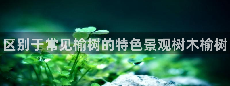 摩根娱乐宝。知道吗