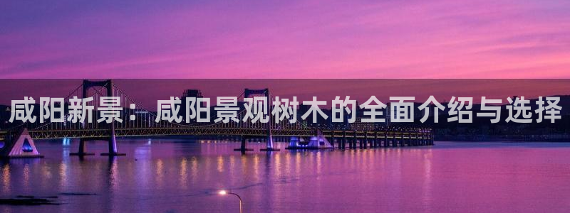 摩根娱乐宝正规吗