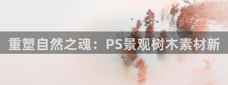 摩根转型娱乐的视频