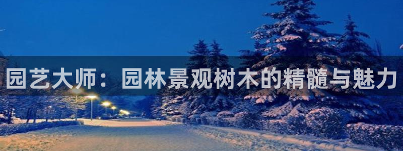 猫眼娱乐摩根士丹利