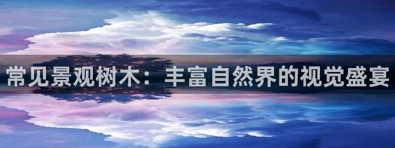 摩根娱乐宝创始人