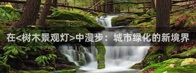 摩根国际娱乐宝在哪里