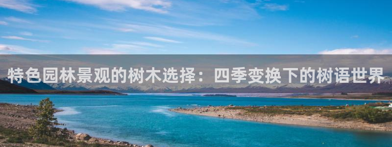 摩根娱乐宝怎么进入