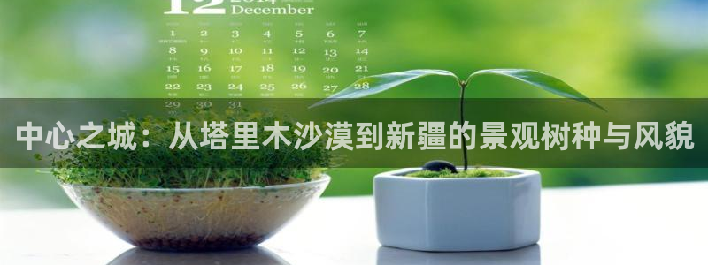 摩根娱乐宝是什么