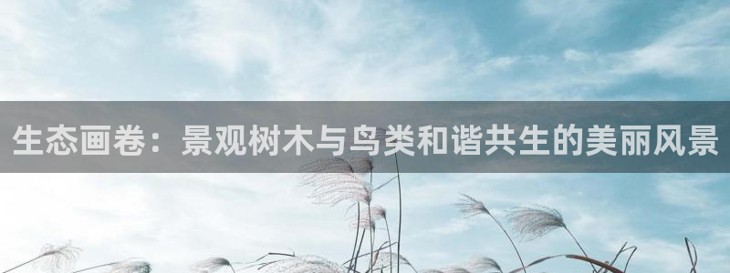 摩根娱乐宝是骗局吗