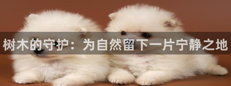 摩根娱乐开户 总s管50015
