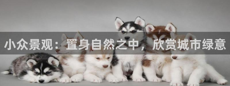 香港摩根娱乐宝