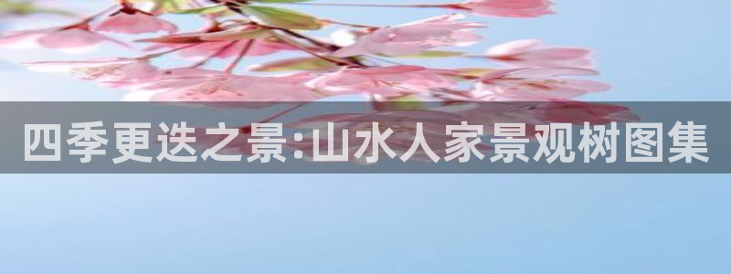 南阳市摩根娱乐