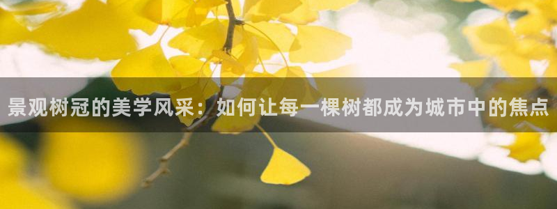 摩根娱乐挂机项目有哪些