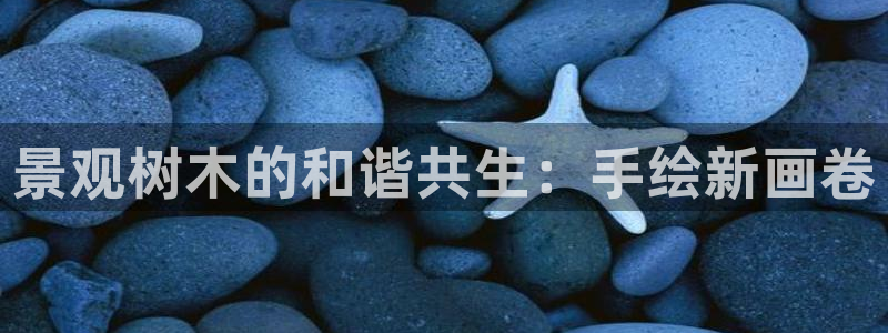 摩根娱乐黑别人网站：景观树木的和谐共生：手绘新画卷