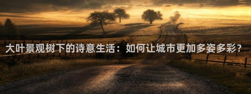 摩根大通会员买金沙娱乐