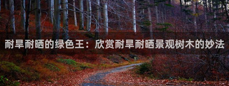 摩根国际娱乐宝在哪里：耐旱耐晒的绿色王：欣赏耐旱耐晒景观树木的妙法