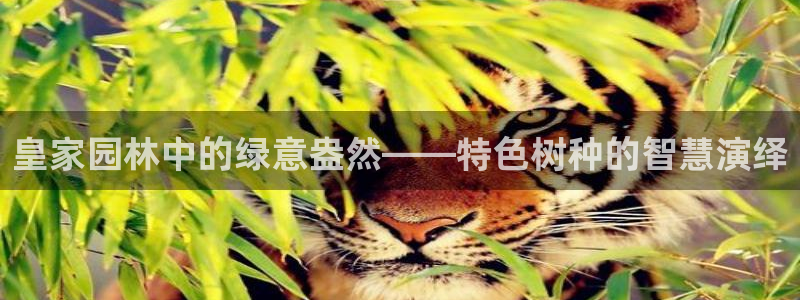 摩根娱乐宝总部