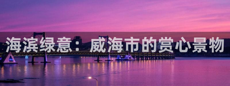 摩根大通王者娱乐