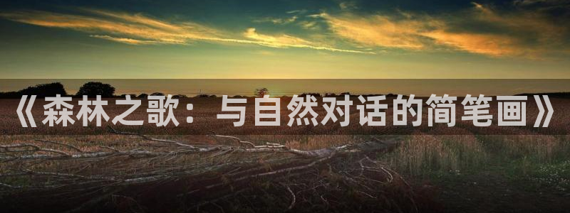 摩根时代资阳娱乐场所