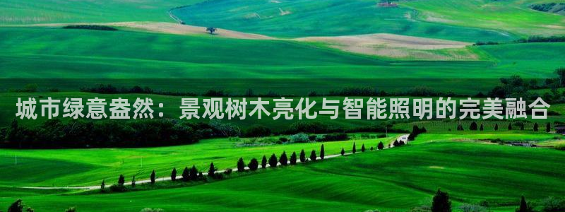 摩根娱乐代理：城市绿意盎然：景观树木亮化与智能照明的完美融合
