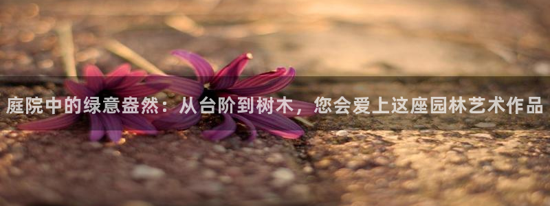 奥飞娱乐摩根调研