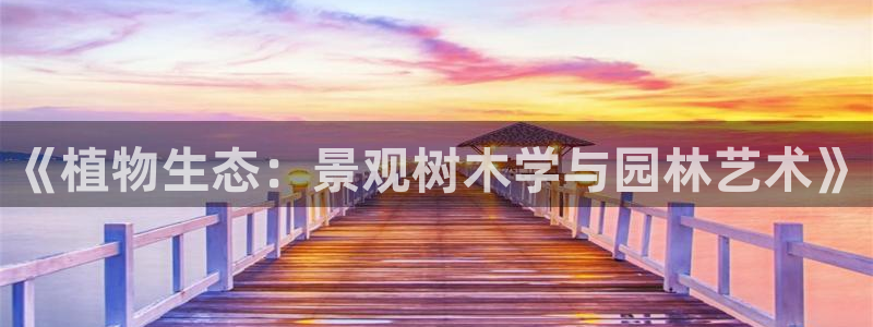 摩根娱乐骗局