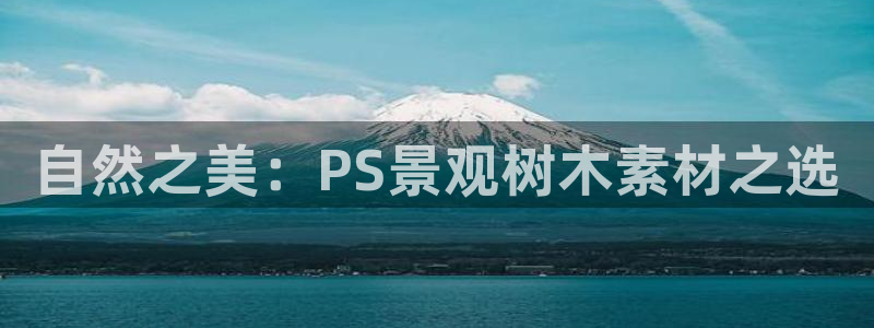 摩根娱乐50186叩