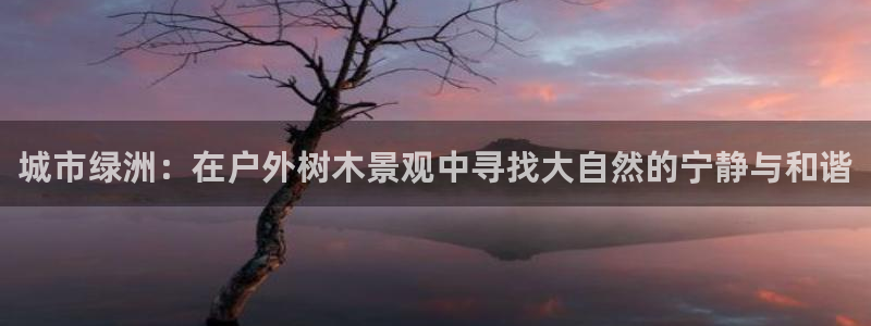 摩根国际 亚太 娱乐宝：城市绿洲：在户外树木景观中寻找大自然的宁静与和谐