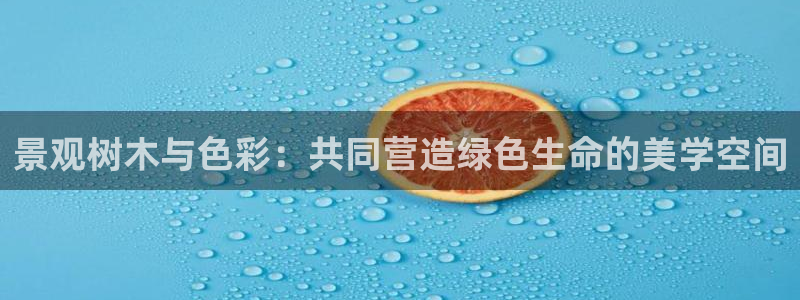 摩根国际娱乐宝下载